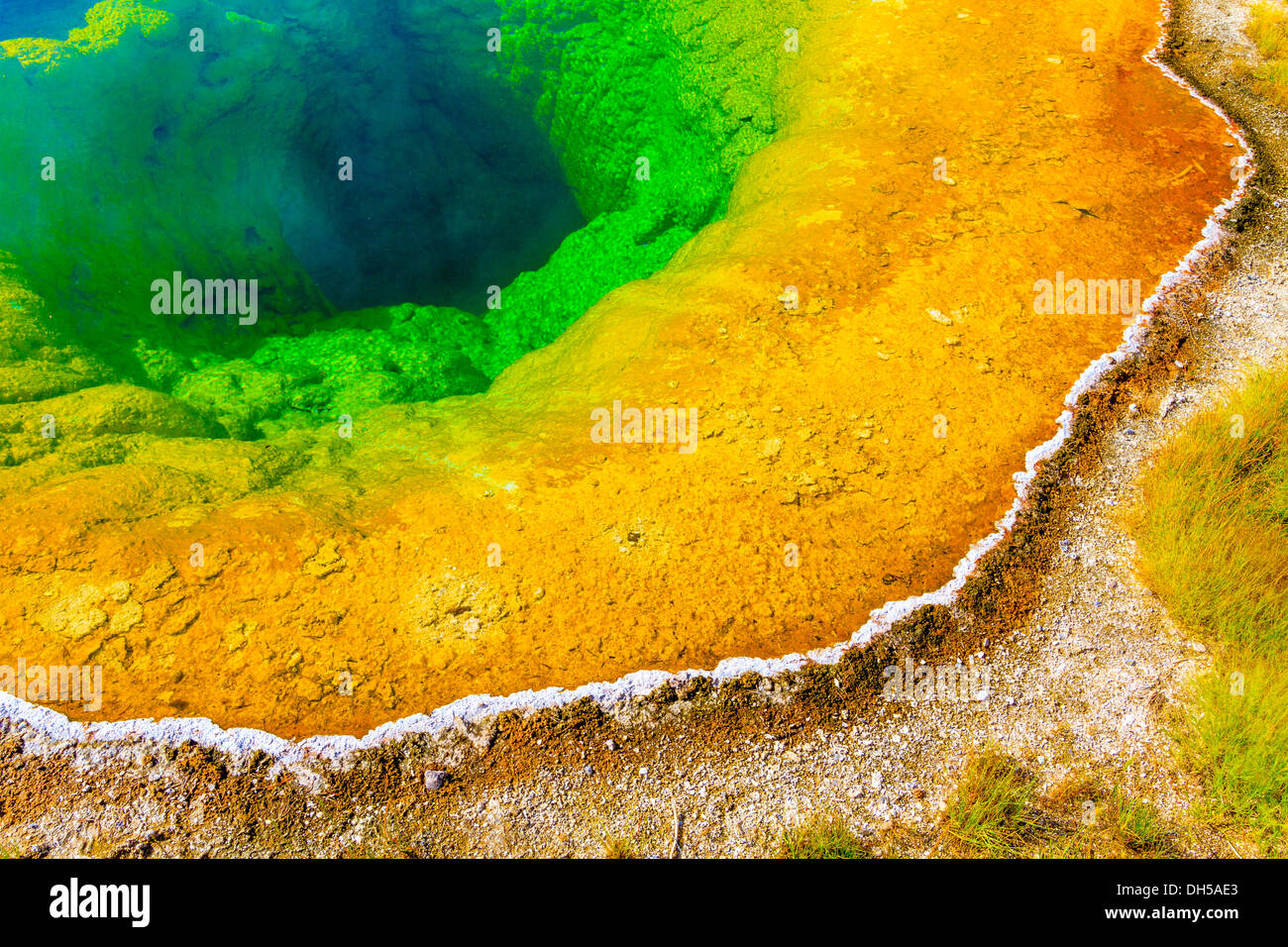 Morning Glory Pool, Yellowstone-Nationalpark, Upper Geyser Basin, Wyoming Stockfoto