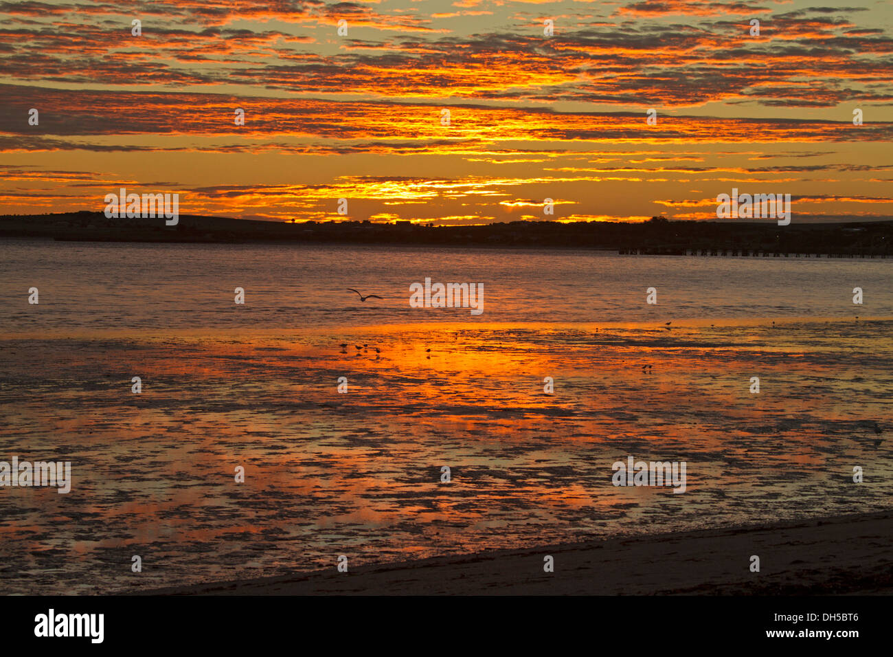 Sonnenaufgang über dem Meer am Streaky Bay, einem beliebten Küsten Urlaubsziel auf der Eyre-Halbinsel in South Australia Stockfoto