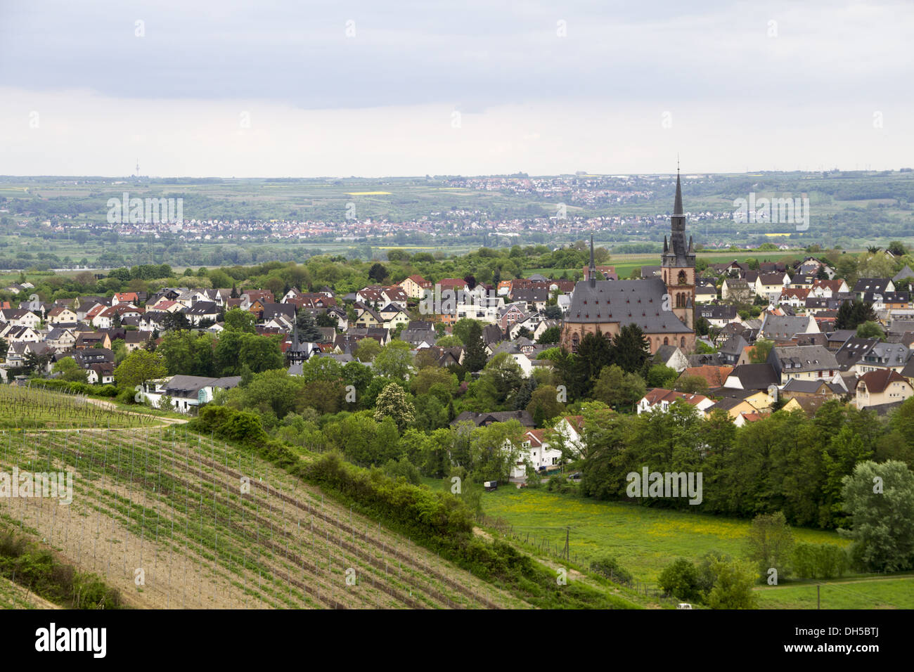 Kiedrich, Deutschland, Rhein Stockfoto