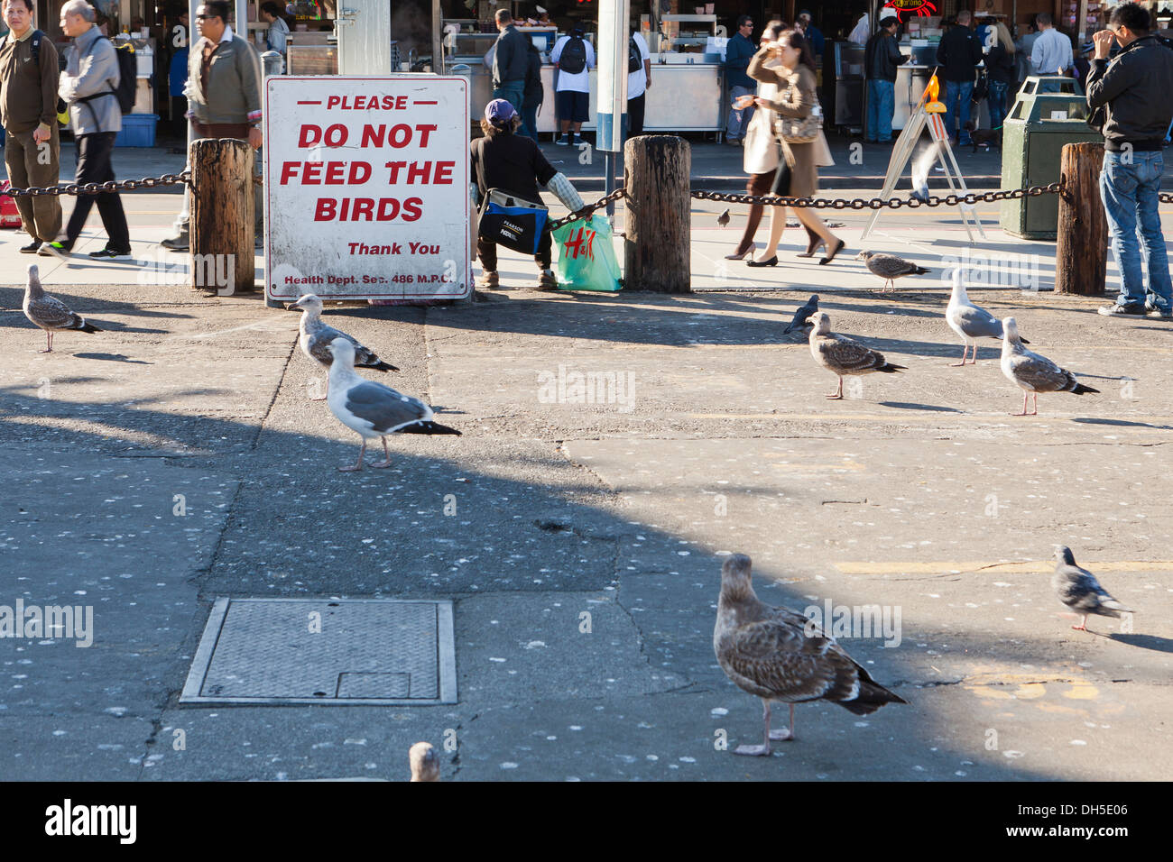 Tun nicht füttern die Vögel Schild am Fishermans Wharf - San Francisco, Kalifornien, USA Stockfoto