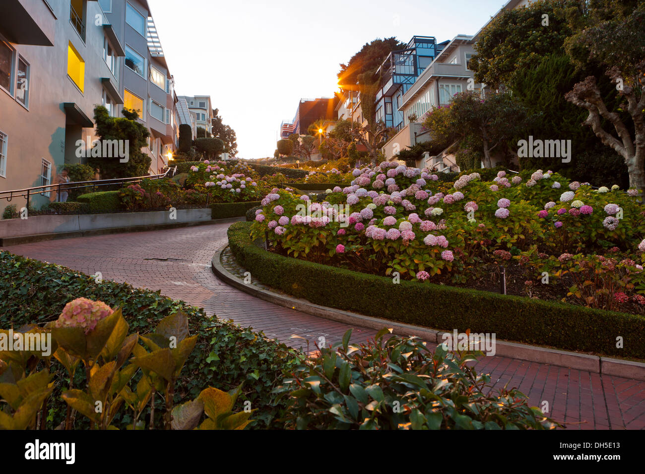 Lombard Street - San Francisco, Kalifornien, USA Stockfoto