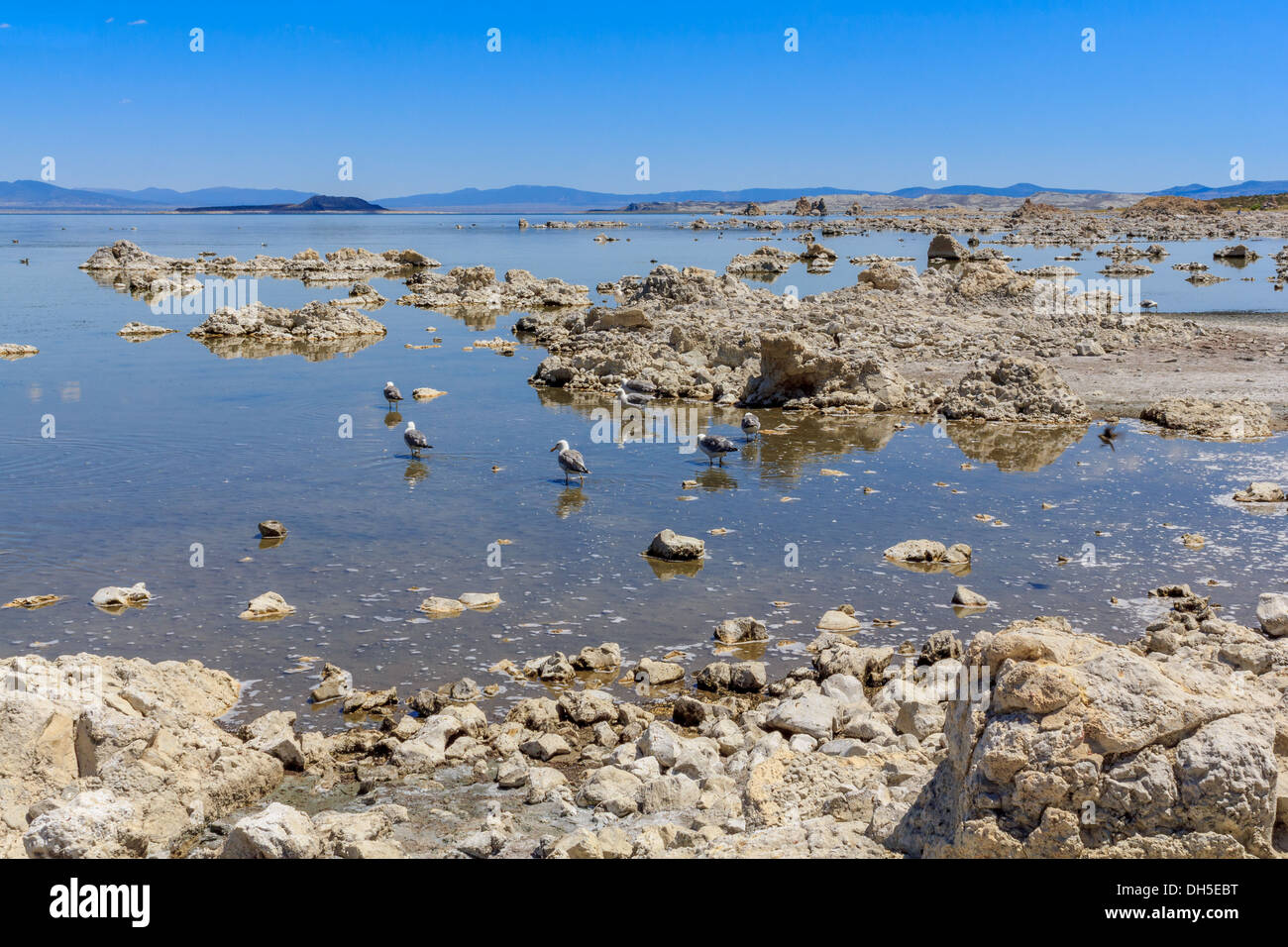 Mono Lake Shore und Kalktuff-Formationen, California Stockfoto