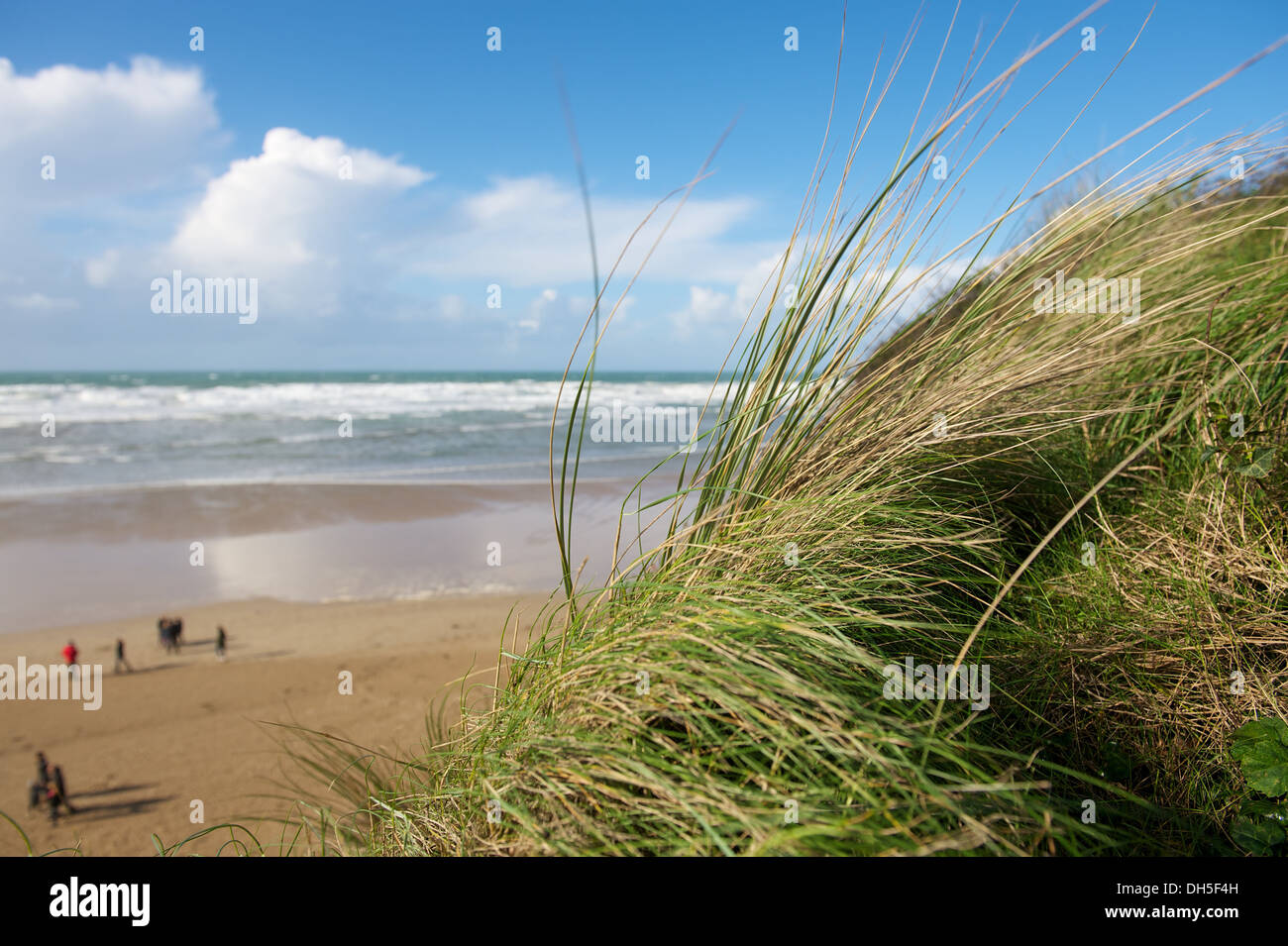 Sanddüne Strandhafer Mawgan Porth Beach in Cornwall Stockfoto