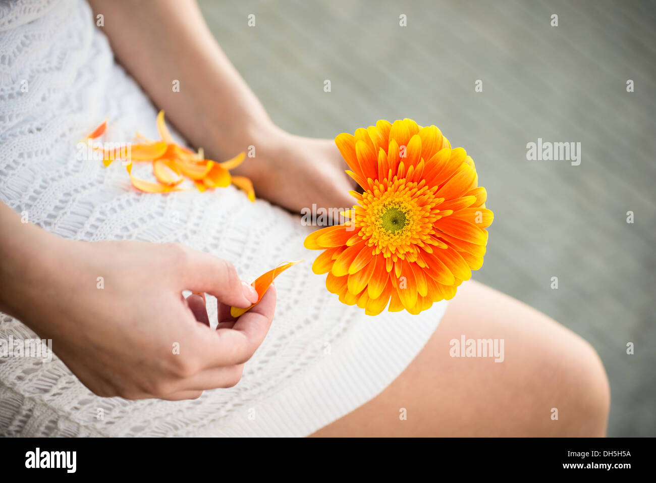 Er liebt mich, er liebt mich nicht Spiel - Nahaufnahme Stockfoto