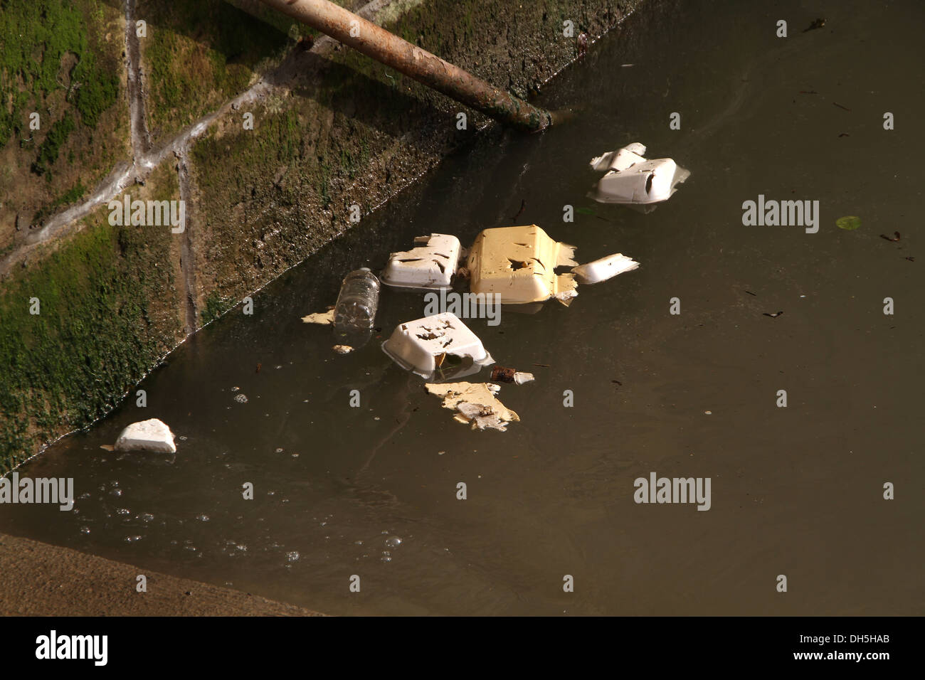 Abfall bei Hochwasser im Hafen. Stockfoto