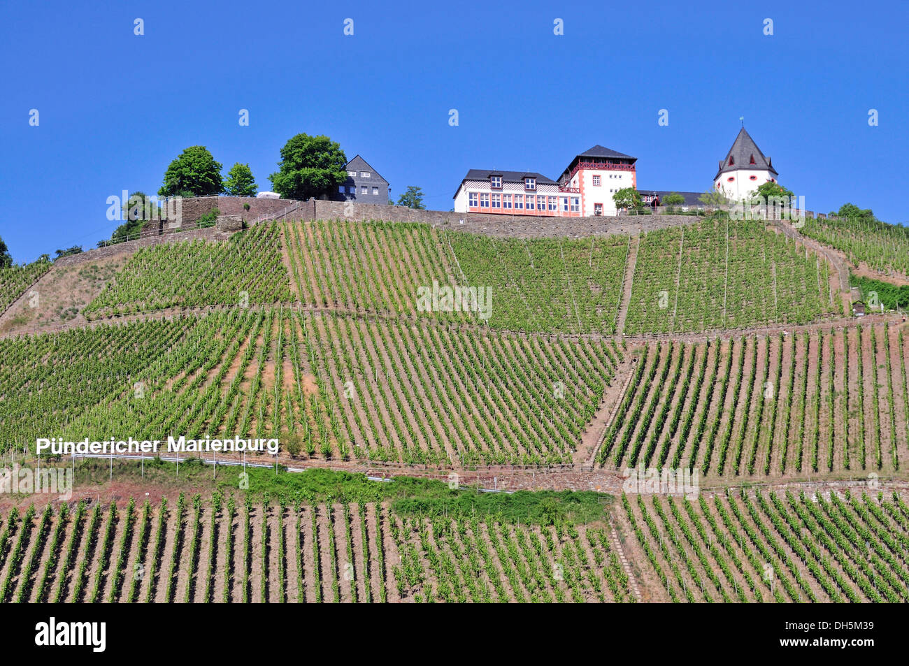 Weinberge Marienburg Bei Puenderich Stockfotos und -bilder Kaufen - Alamy