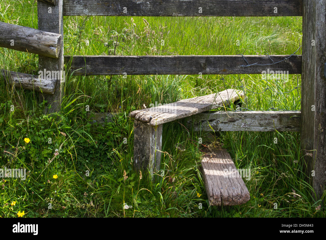 Alten hölzernen Stil, -Stile sind häufig Feldgrenzen auf Wanderwegen im Vereinigten Königreich zu überqueren. Stockfoto