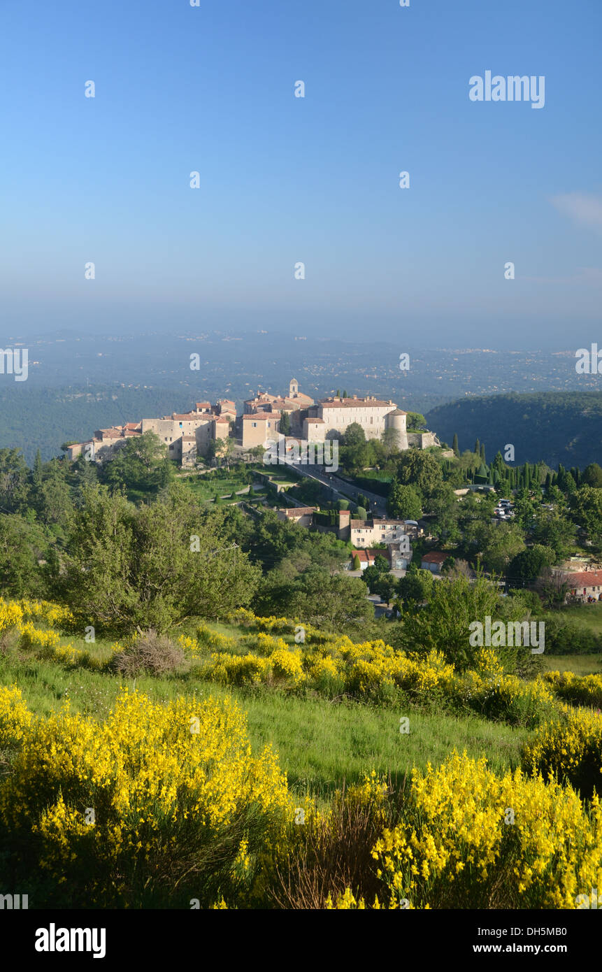 Hoch gelegene Dorf-, Schloss- und Frühlingslandschaft mit blütendem Spanischen Besen, Sppartium Jungeum in Gourdon Alpes-Maritimes Frankreich Stockfoto