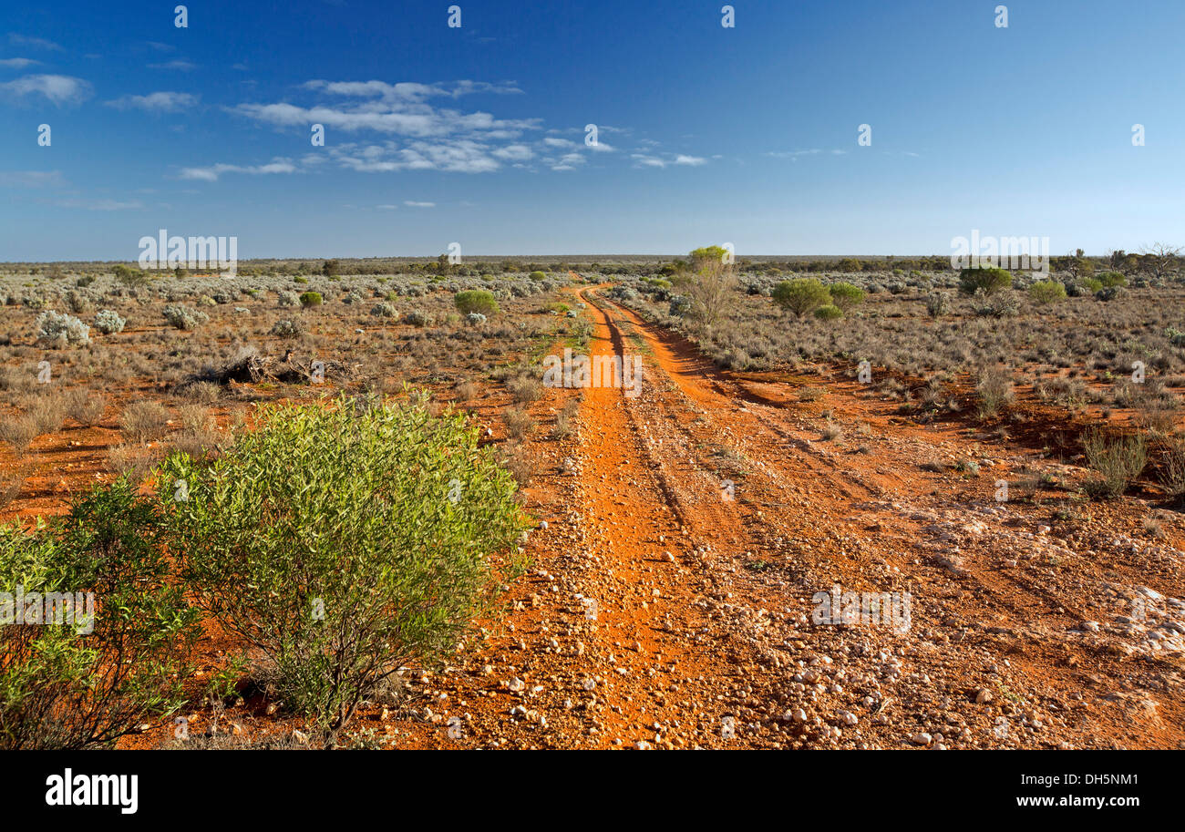 Australische Outback-Landschaft mit langen roten Straße über weiten baumlosen Ebenen der Schaffarm im nördlichen Südaustralien zum fernen Horizont Stockfoto
