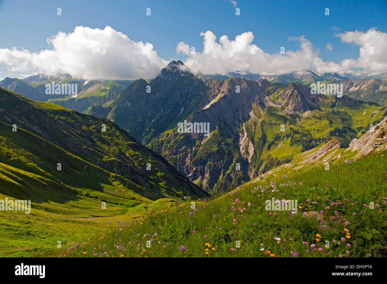 Hoefats Berg, 2259m, Blick vom Laufbacher Eck-Weg-Wanderweg, Allgäuer Alpen, Allgäu, Bayern, Deutschland Stockfoto