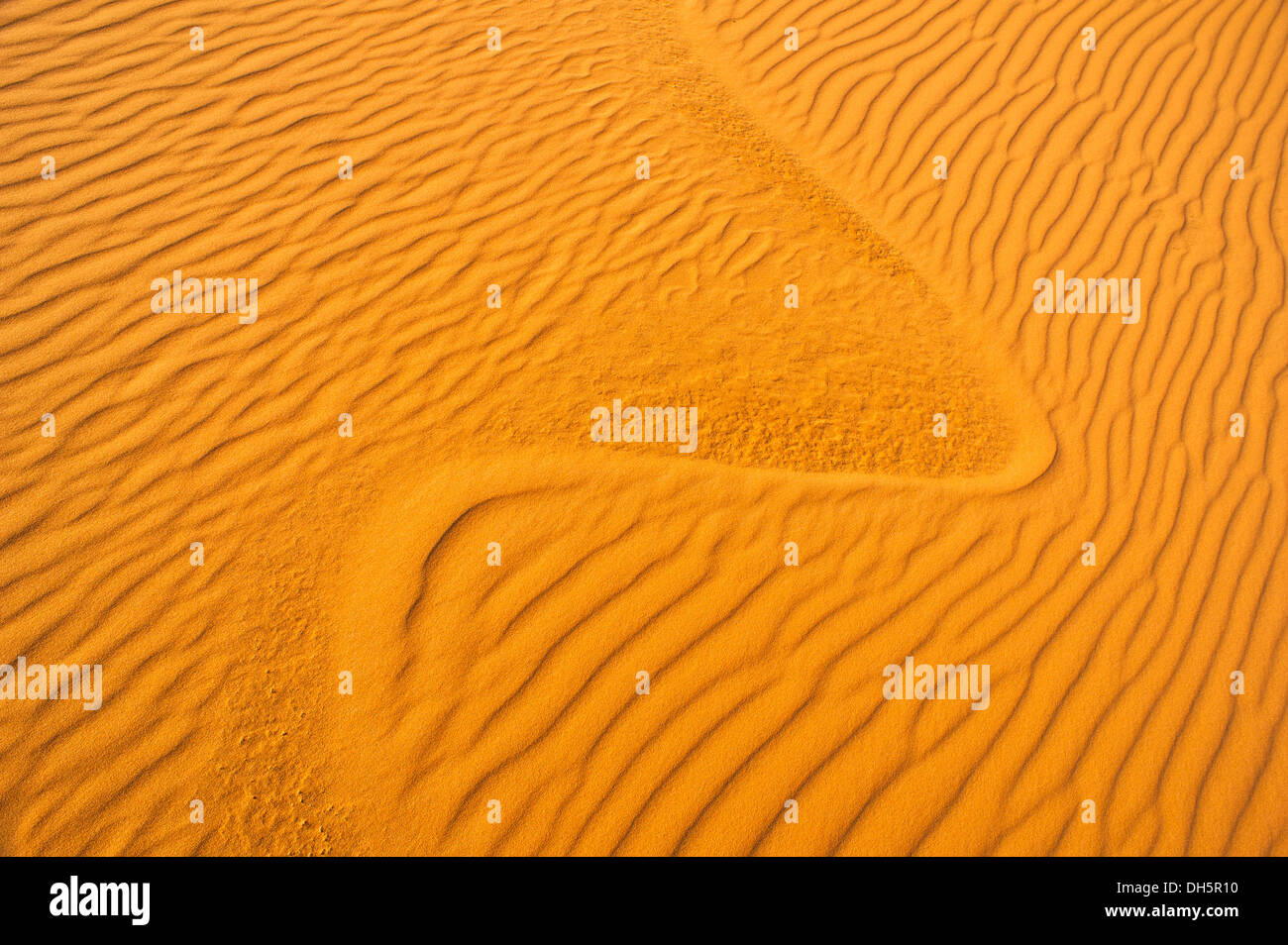 Wind-förmige Spuren in den Sanddünen des Erg Chebbi, Sahara, Marokko, Afrika Stockfoto