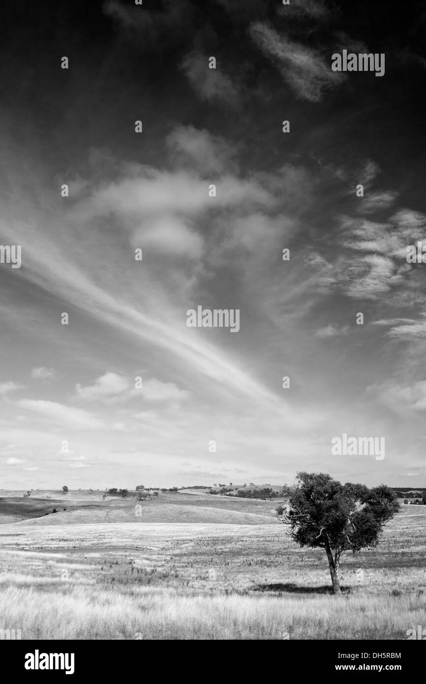 Black And White Big Sky Deutschland Stockfoto