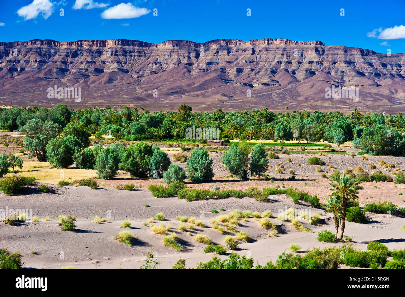 Tal des Draa Flusses mit Bäumen, Dattelpalmen (Phoenix), Sträuchern und kleinen Feldern, Tafelberg Djebel Kissane hinten, Agdz Stockfoto