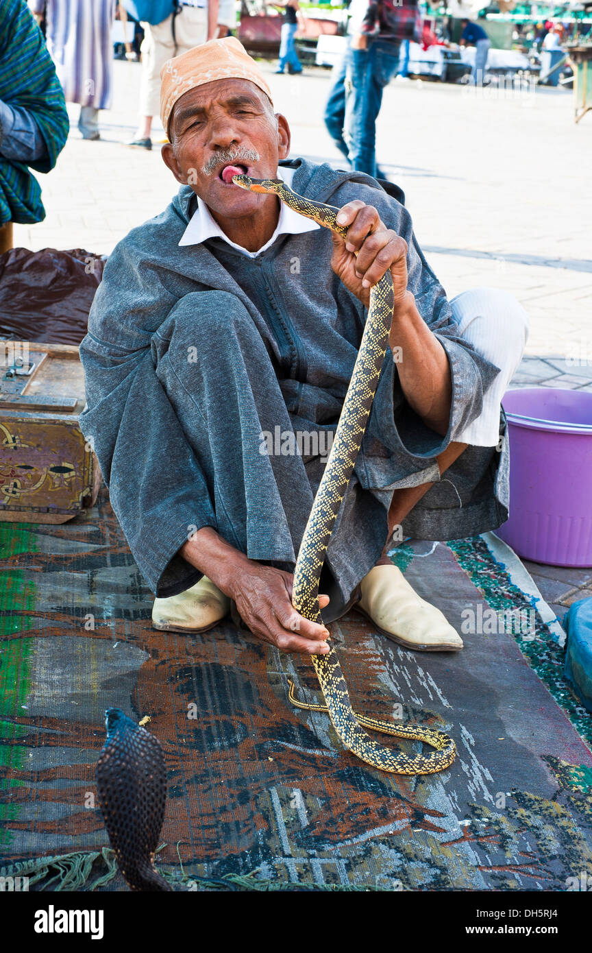 Snake Charmer mit seiner Schlangen in der Djemaa el Fna entfernt, Platz der erhängte, Marrakesch, Marokko, Afrika Stockfoto