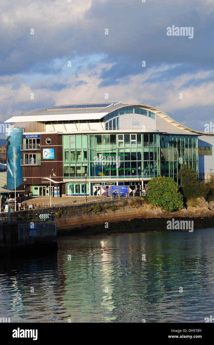 Das Plymouth National Marine Aquarium in Sutton Harbour an einem Abend im Oktober. Stockfoto