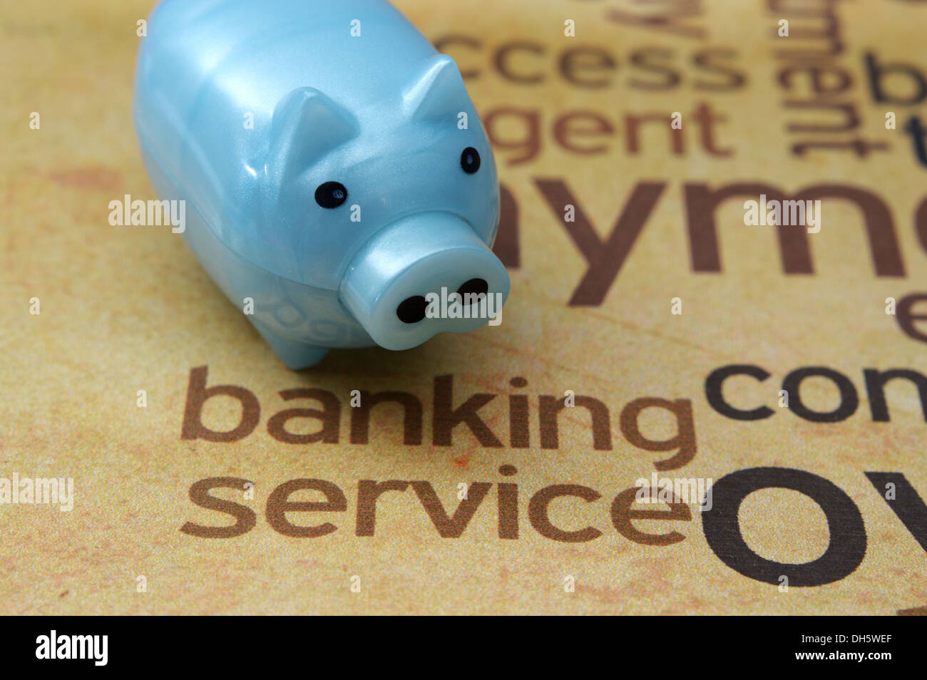 Banking Service Text auf Papier mit Sparschwein Stockfoto