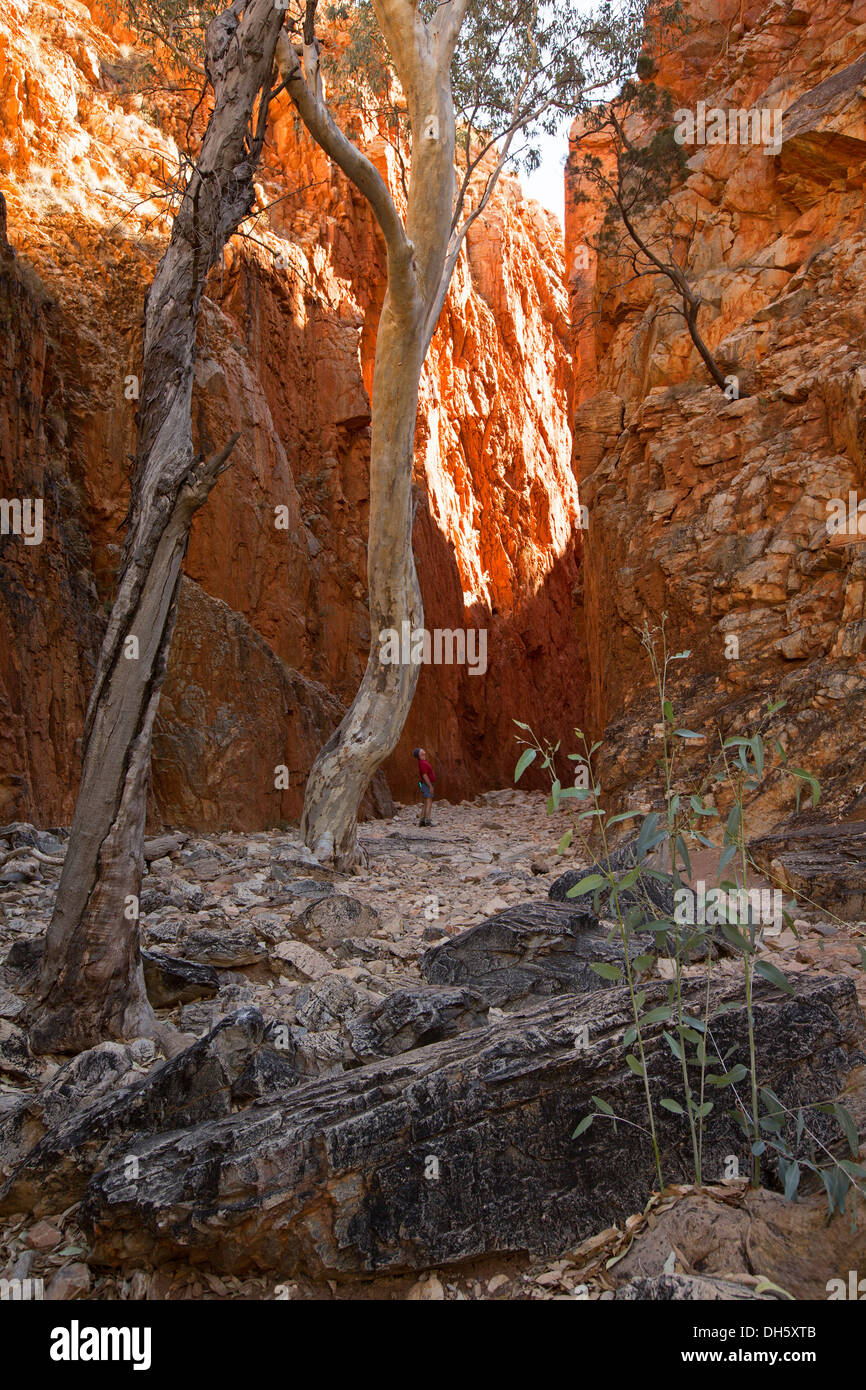 Standley Chasm, beliebte natürliche Sehenswürdigkeit in West MacDonnell Ranges in der Nähe von Alice Springs mit Mann in den Schatten gestellt durch die Klippen Stockfoto