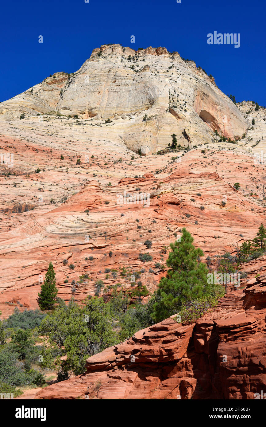 Ost-Tempel, Zion Nationalpark, Utah, Vereinigte Staaten von Amerika, USA Stockfoto