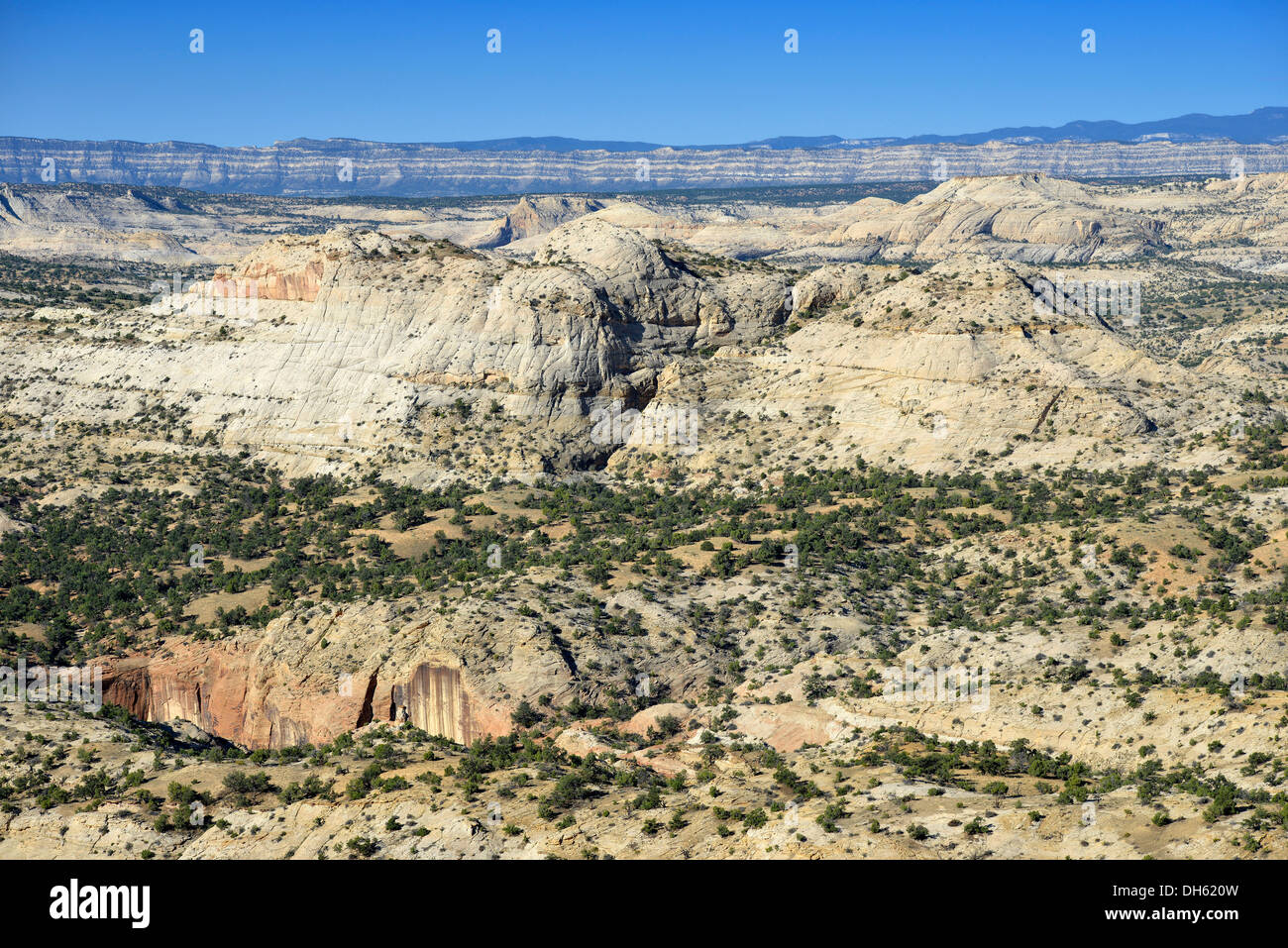 Blick auf das "Rückgrat des Teufels", Grand Staircase-Escalante Nationalmonument, GSENM, Utah, Südwesten der USA, USA, PublicGround Stockfoto