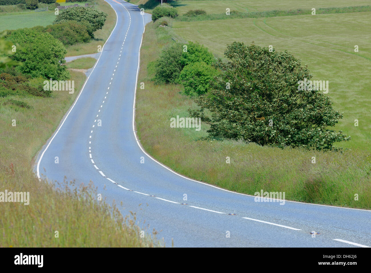 leere Straßenlauf durch ländliche Landschaft Stockfoto