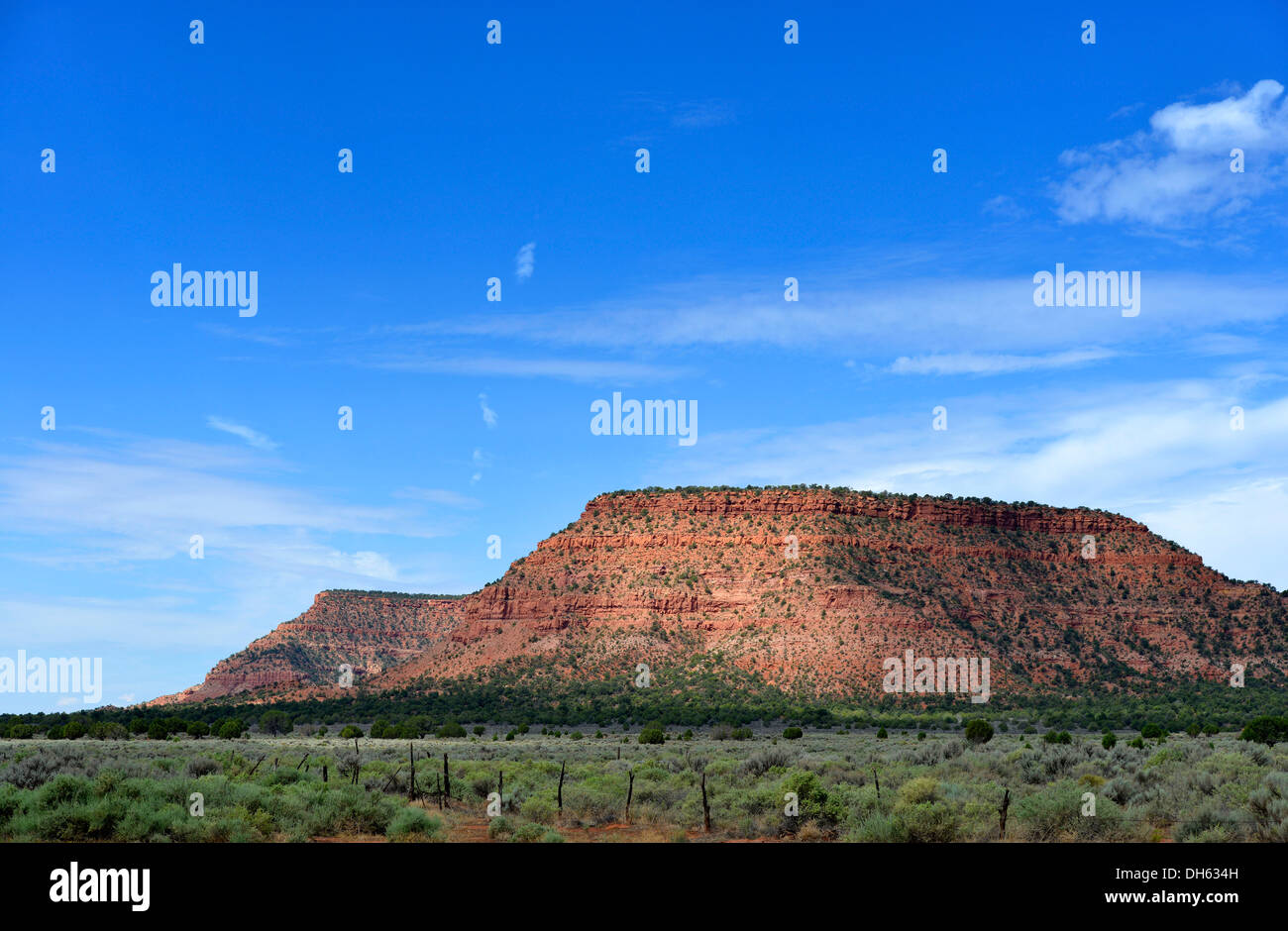 Rosa Klippen, Johnson Canyon, Johnson Canyon Road, Grand Staircase-Escalante National Monument, Südwesten in Utah, USA Stockfoto