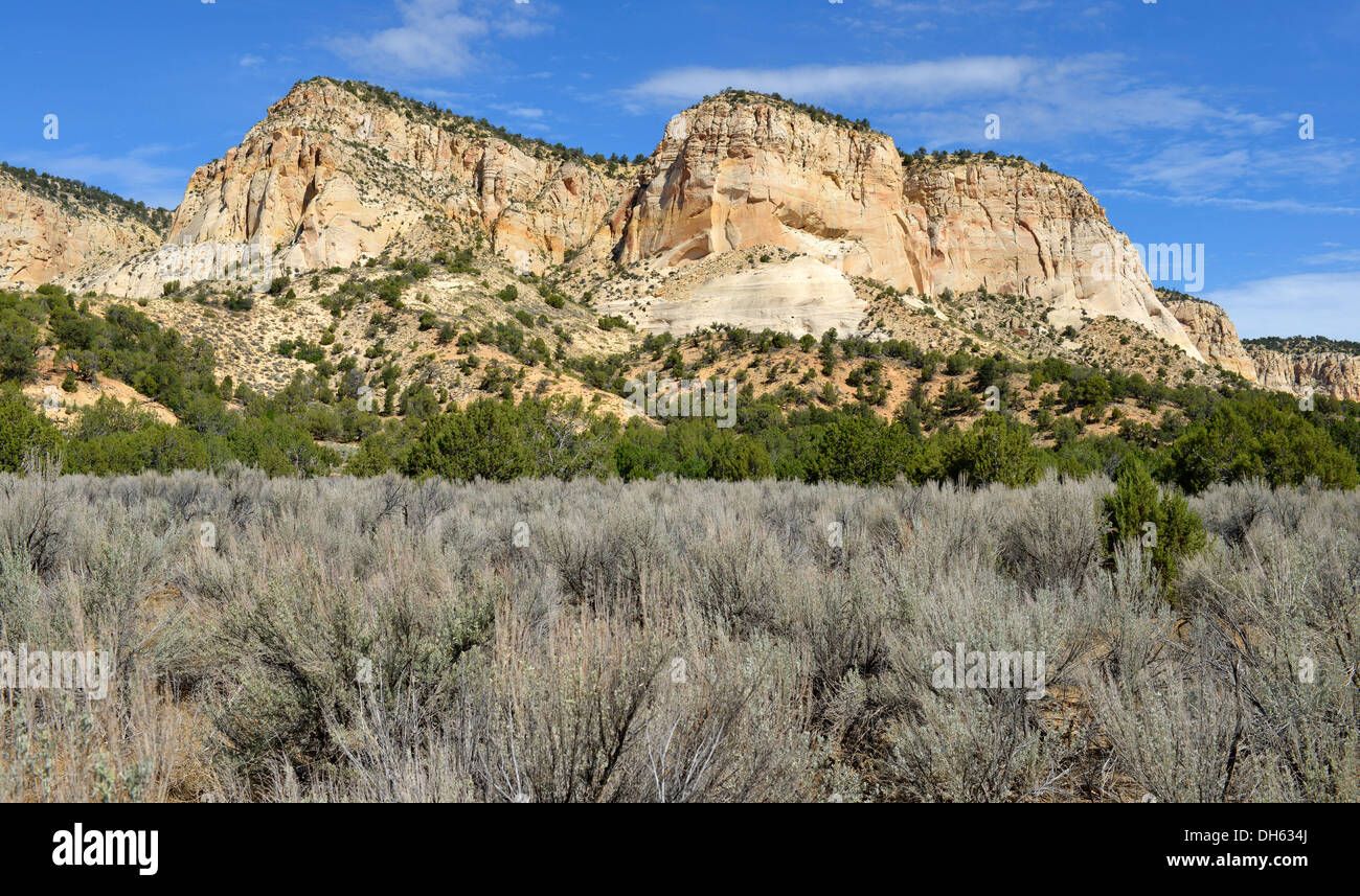 Vermilion Cliffs, Johnson Canyon, Johnson Canyon Road, Grand Staircase-Escalante National Monument, Südwesten in Utah, USA Stockfoto
