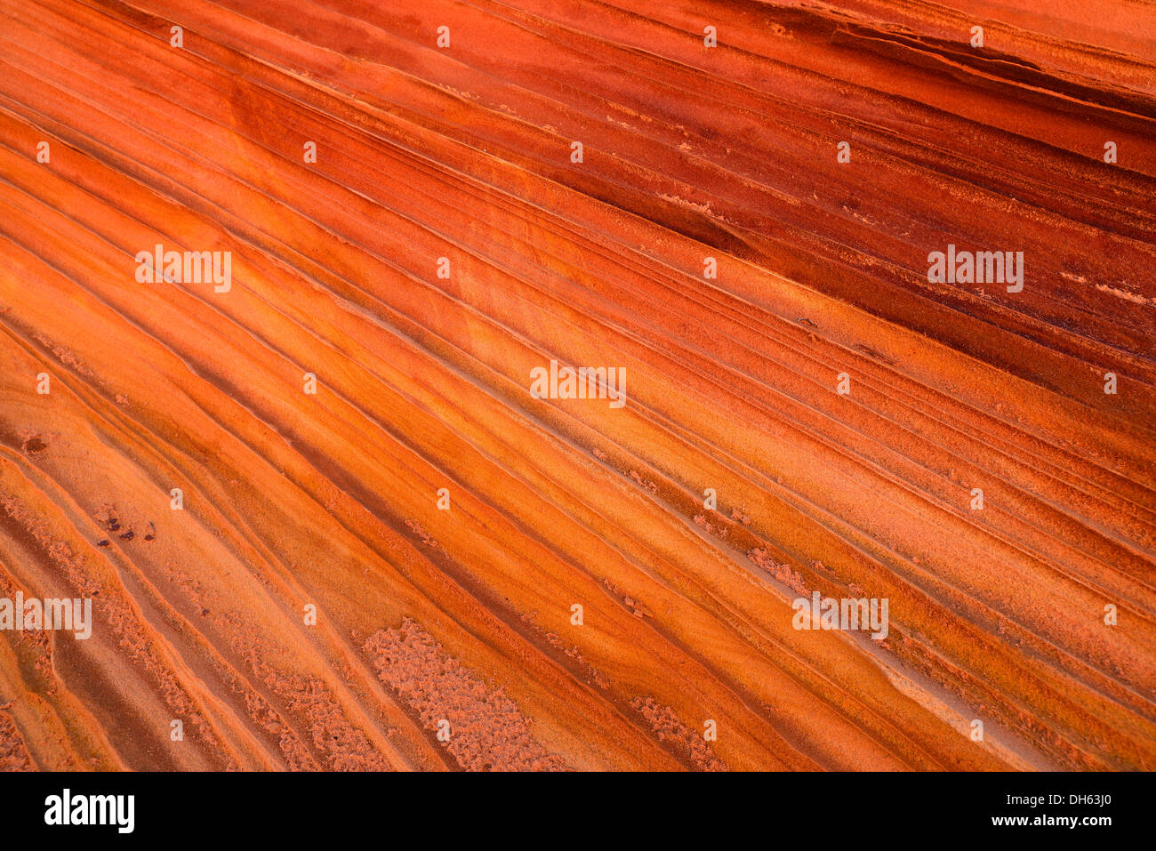"Dritte Welle", Detailansicht der typischen Liesegang Bands oder Liesegang-Ringe, Coyote Buttes South, CBS, Cottonwood Teepees erodiert Stockfoto