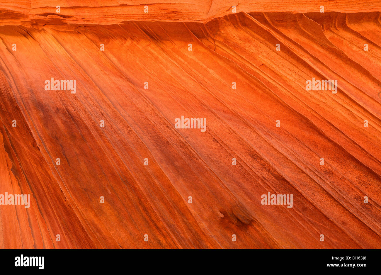 "Dritte Welle", Detailansicht der typischen Liesegang Bands oder Liesegang-Ringe, Coyote Buttes South, CBS, Cottonwood Teepees erodiert Stockfoto