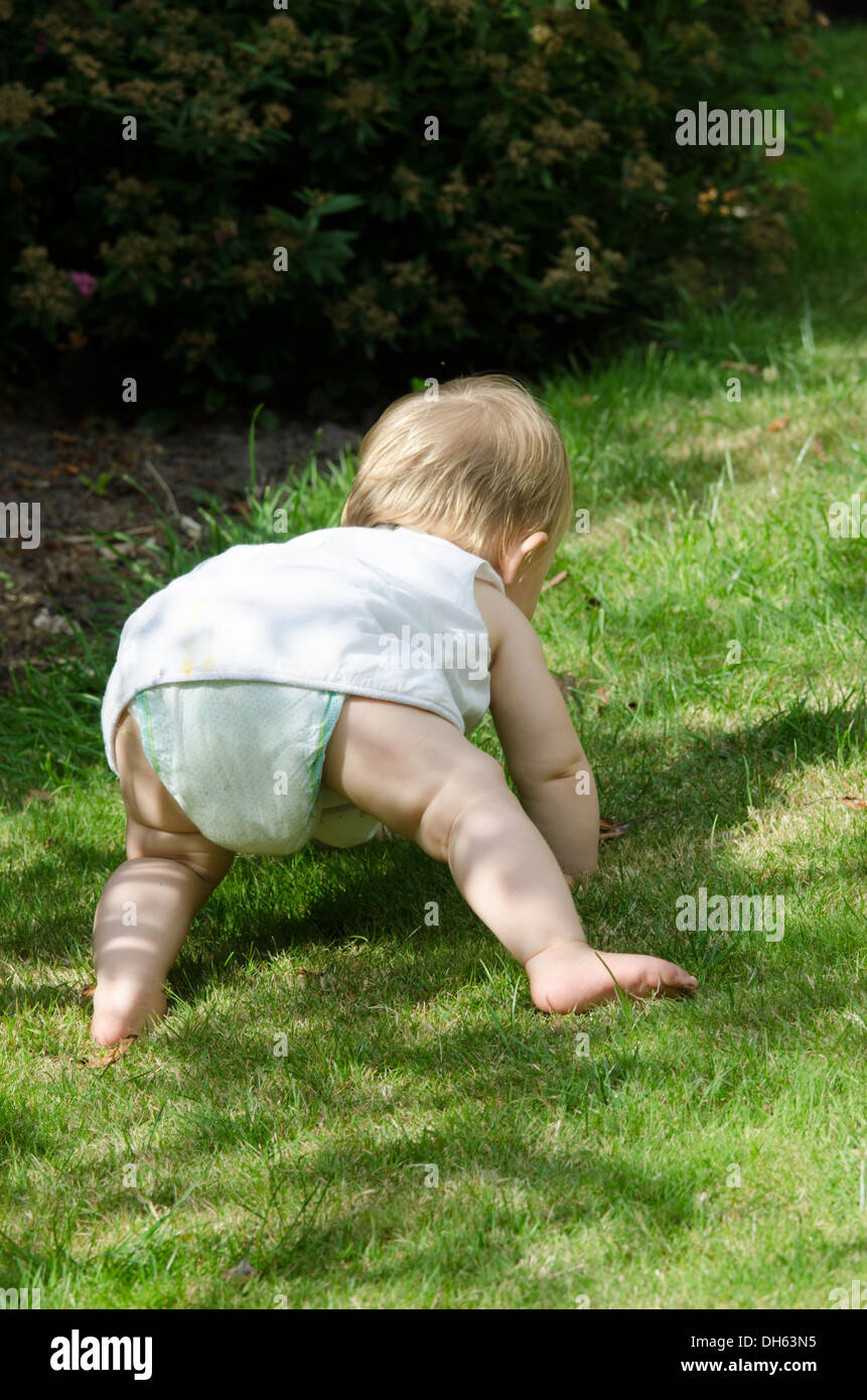 neun Monate altes Baby Mädchen kriechen auf dem Rasen. England. August. Stockfoto