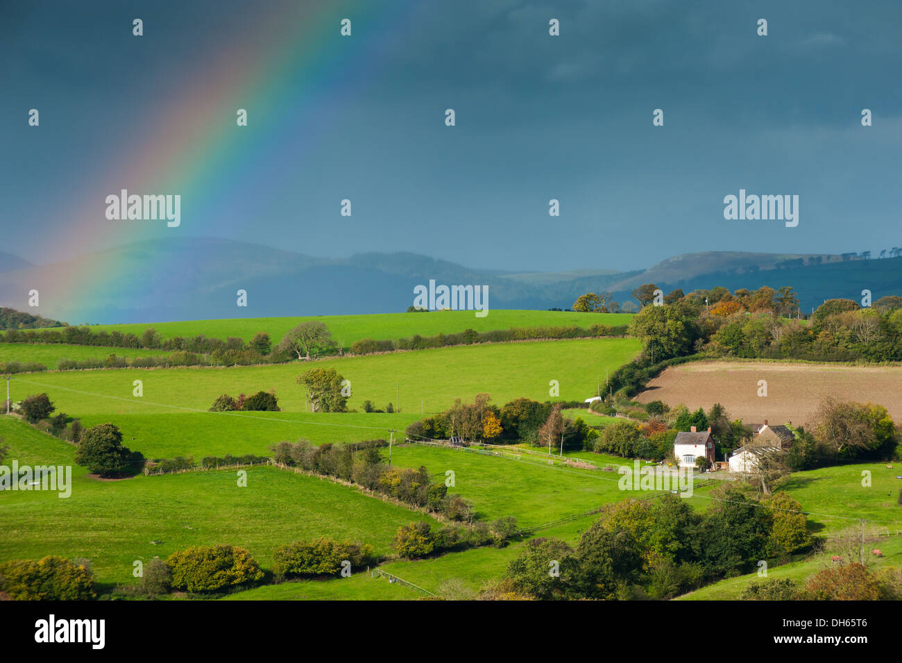 Herbst Regenbogen über Runde Eiche in Shropshire Hügel von Hopesay gemeinsamen, England gesehen. Stockfoto