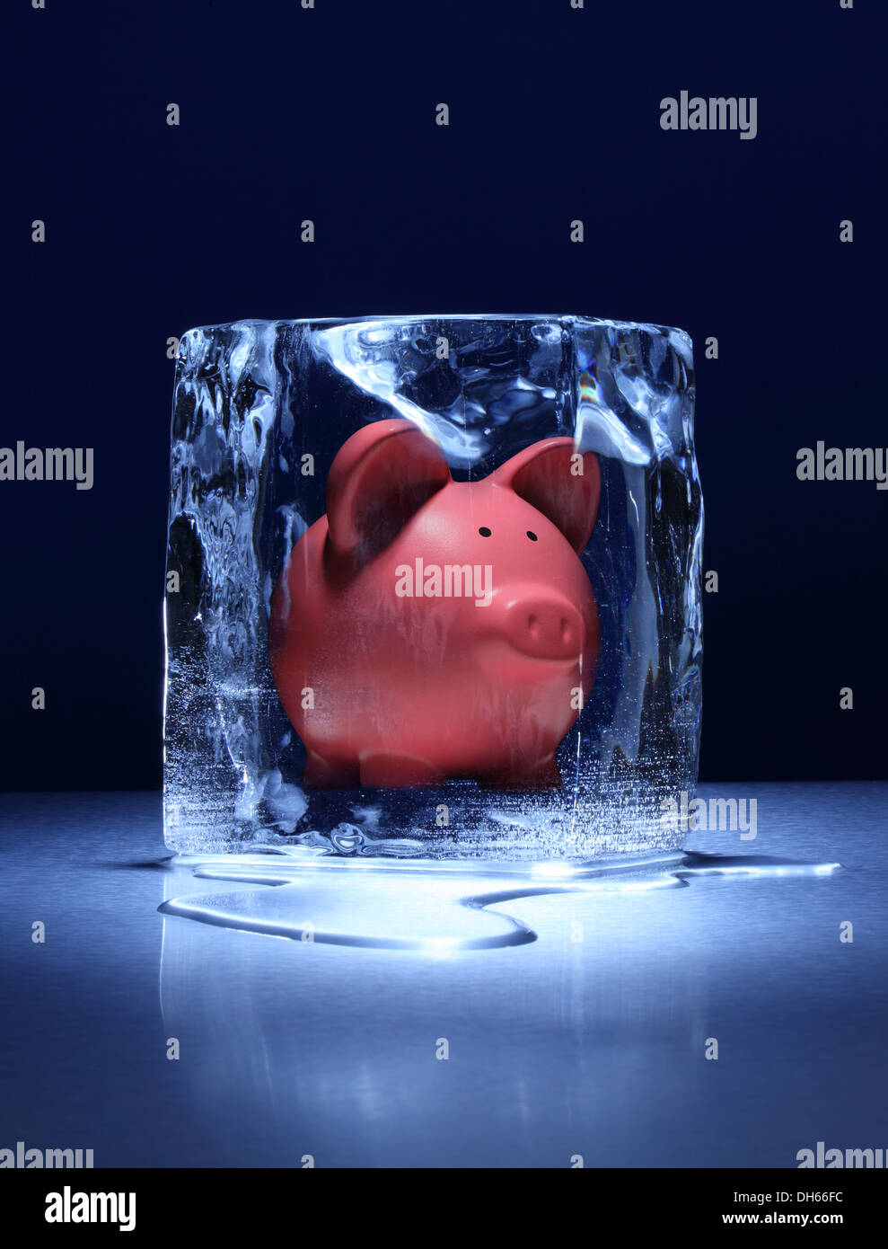 Ein rosa Piggy Spardose in einem klaren Eisblock eingefroren Stockfoto