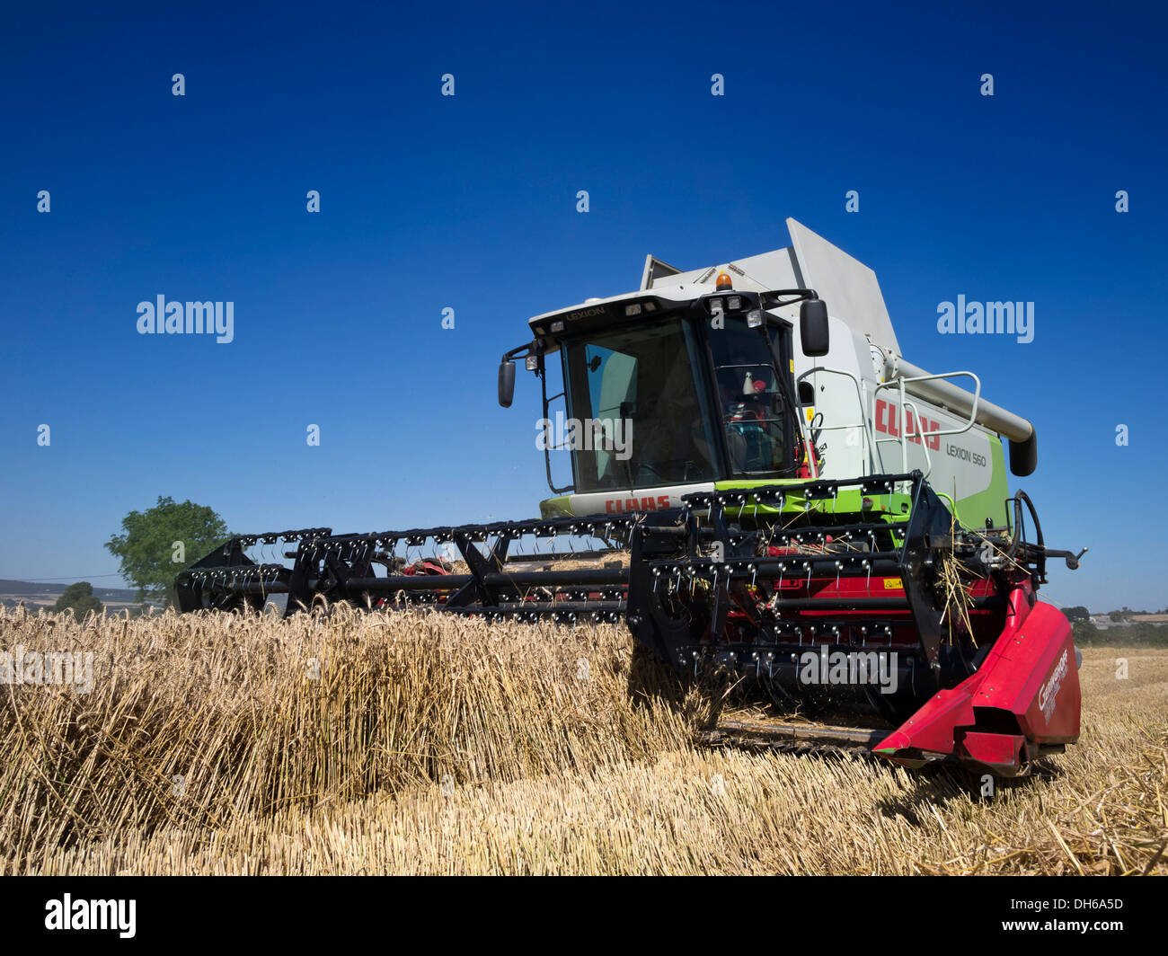 Feldhäcksler Erntetechnik eine Ernte von Getreide, Bretagne, finistere, Frankreich, Europa Stockfoto