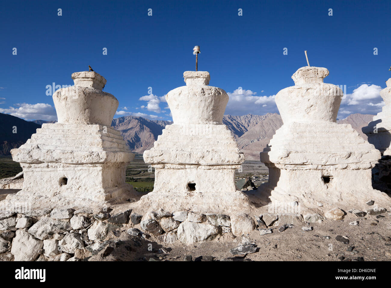 Buddhistischen Stupas Nubra Tal, Diskit Kloster, Ladakh, Nordindien Stockfoto