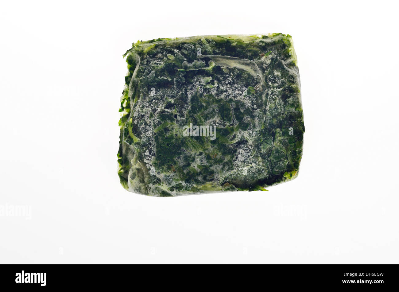 Tiefgefrorener Spinat auf weißem Hintergrund Ausschnitt. USA Stockfoto