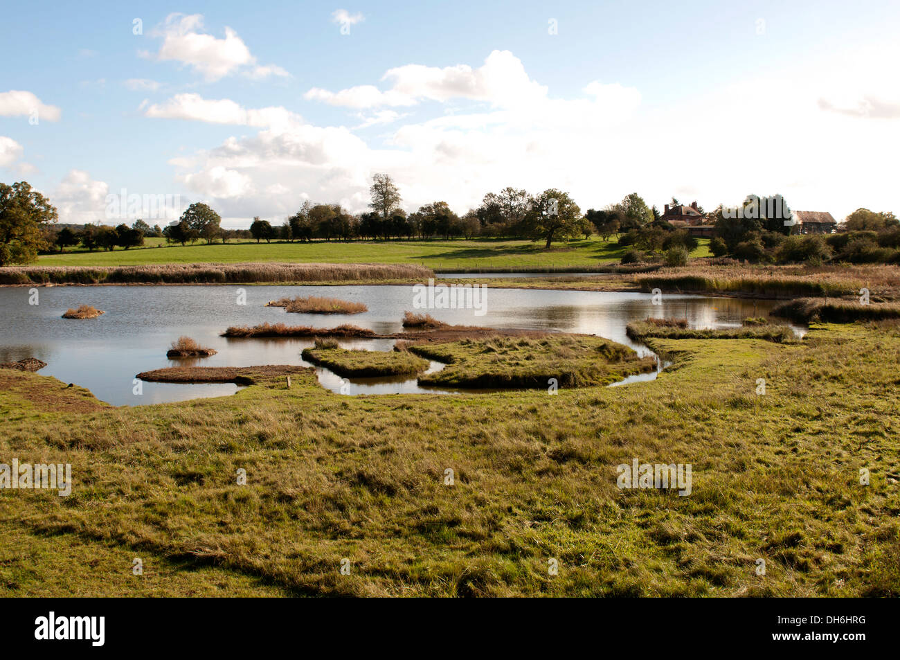 Flash-Pool, Upton Warren Naturschutzgebiet, Worcestershire, England, UK Stockfoto