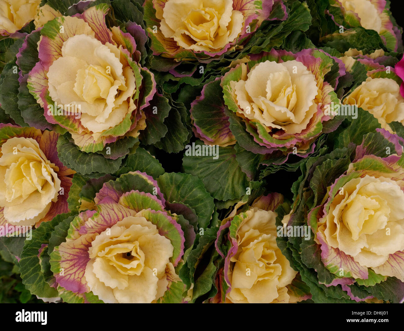 Anzeige von Kunstblumen, Gates Gartencenter Stockfoto