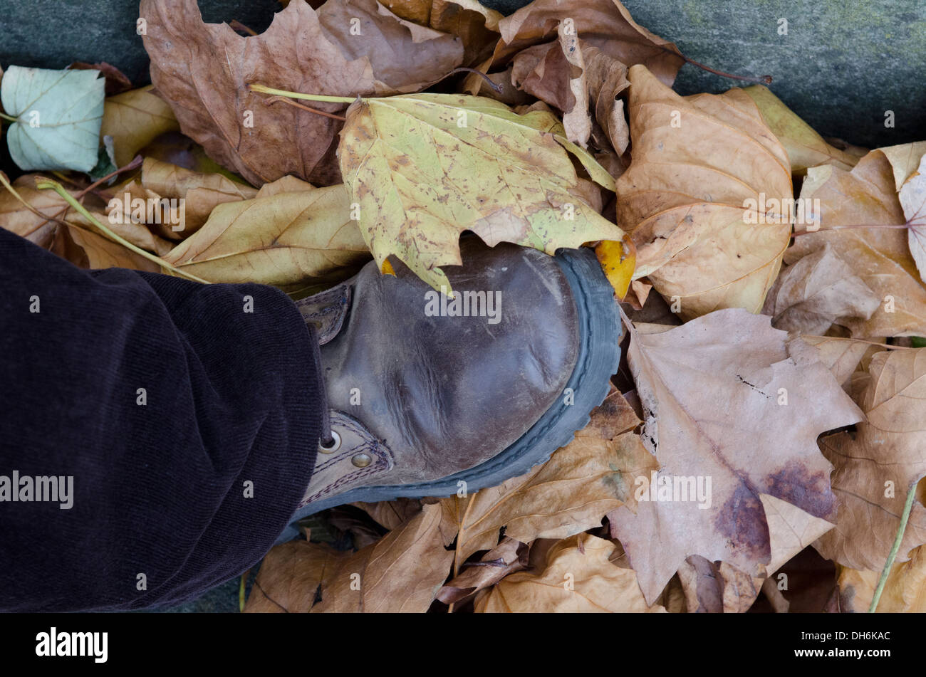 Boot, zu Fuß durch Herbstlaub auf Bürgersteig Stockfoto