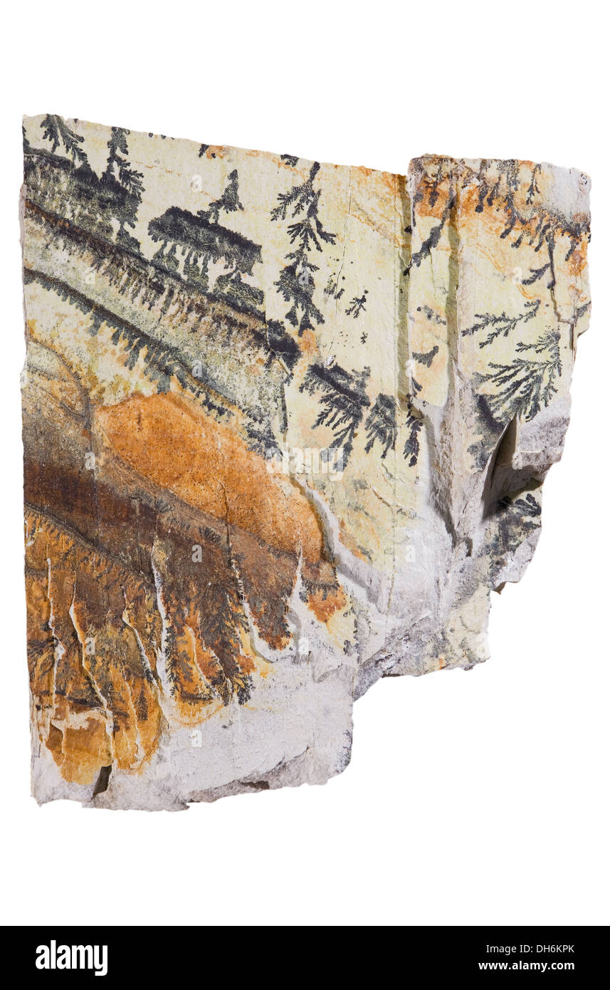 Probe des geologischen Rock zeigt Meta Rhyolith mit einem braunen Fleck Eisen und Mangan auf Eisen Fraktur, Mauretanien-NW-Afrika Stockfoto