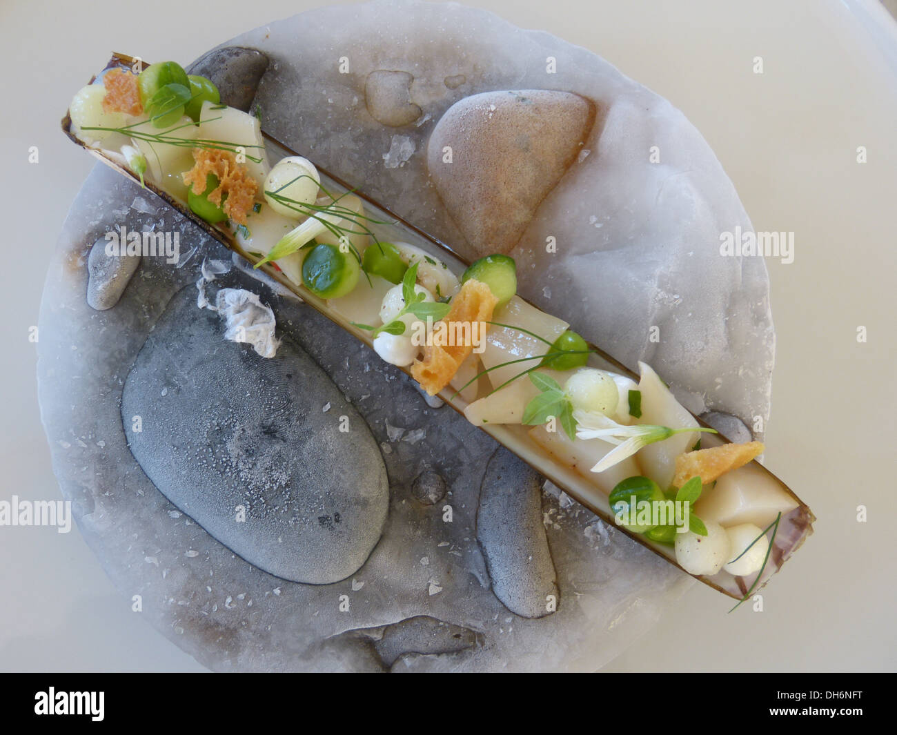 Razor Clam Vorspeise serviert auf Eis und Kieselsteinen im Svinklov Hotel in Jütland, Dänemark Stockfoto