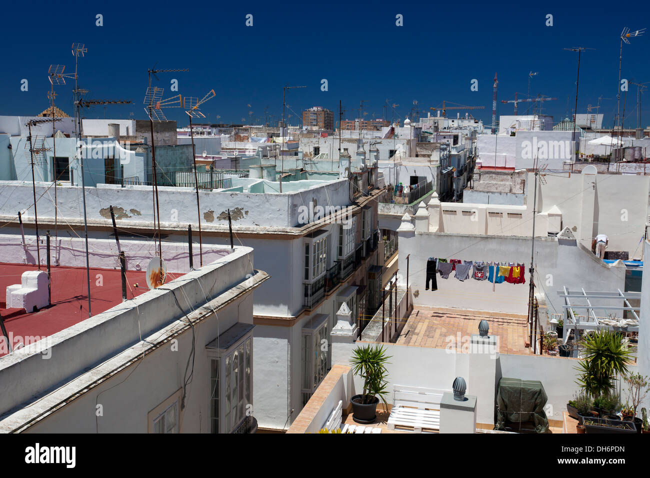 Blick auf die Dächer von Cadiz aus Torre Tavira Stockfoto