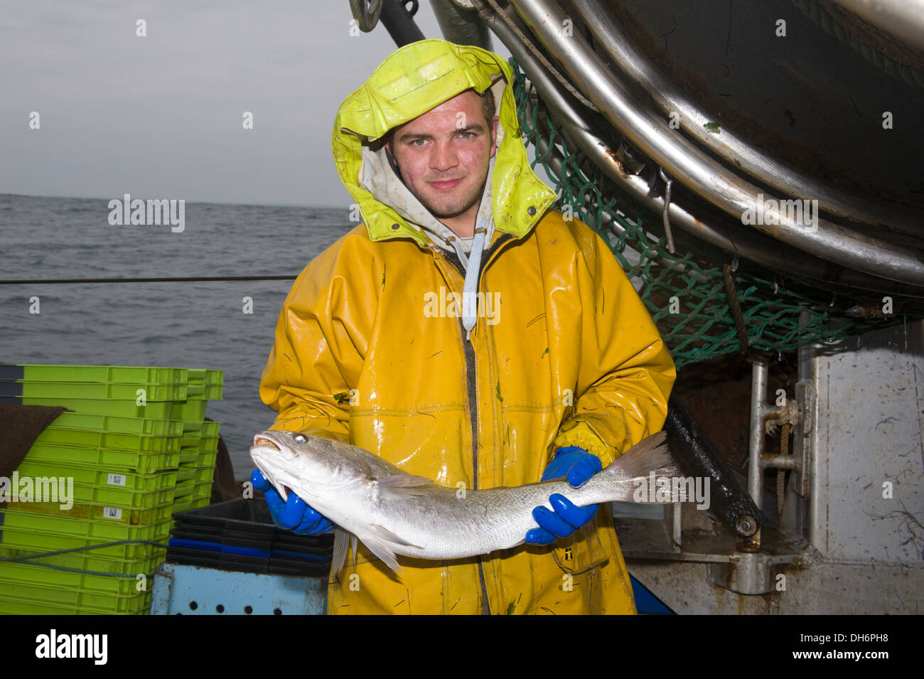 Fischer auf einem stern Trawler, die Verarbeitung der Fische Stockfoto