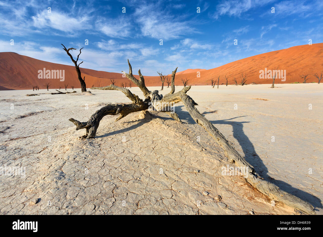 Blick auf Toten Tal in der Namib Wüste, Sossusvlei, Namibia Stockfoto