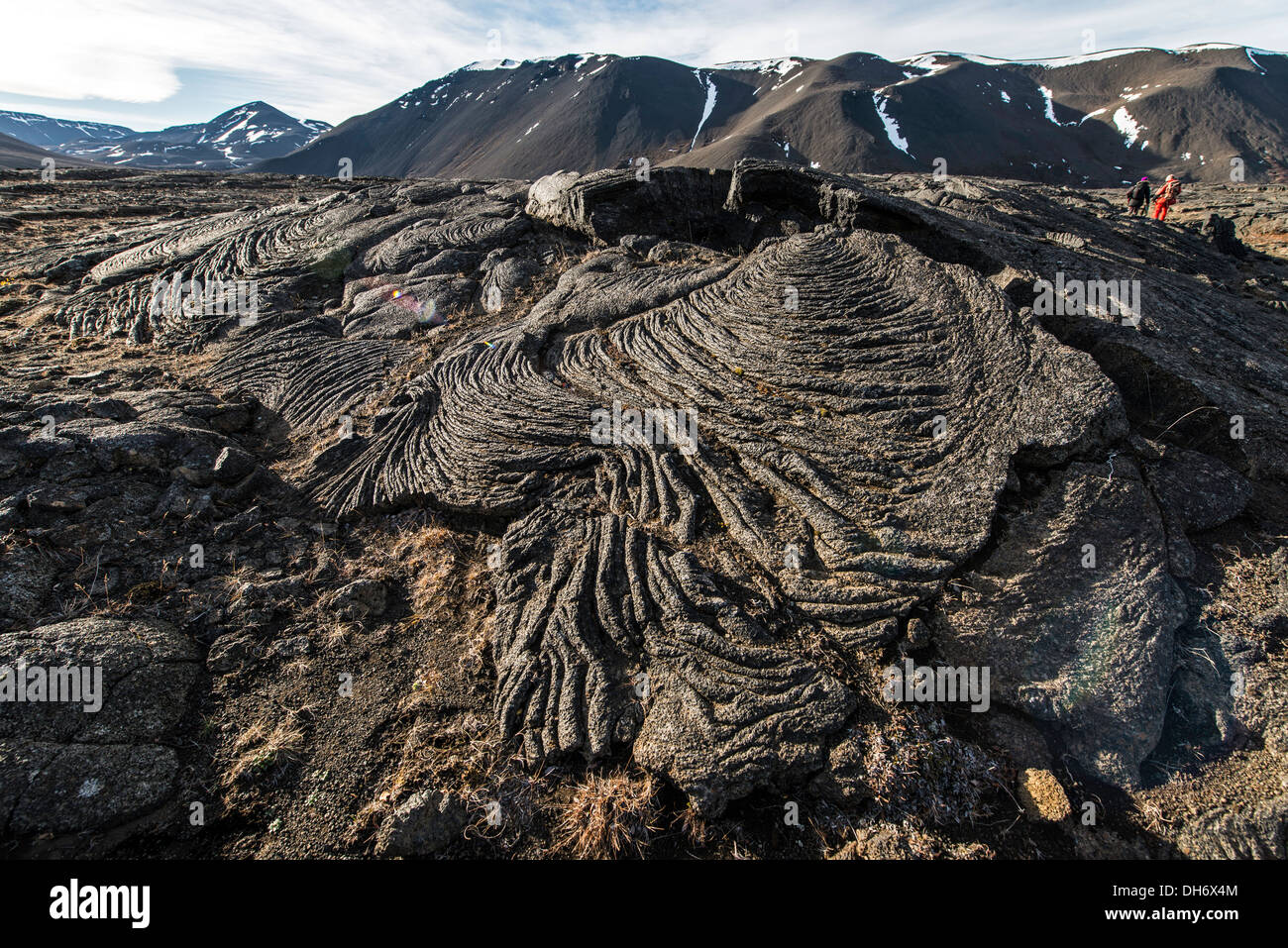 Lava Bildung Akureyri-Nord-Island-Europa Stockfoto