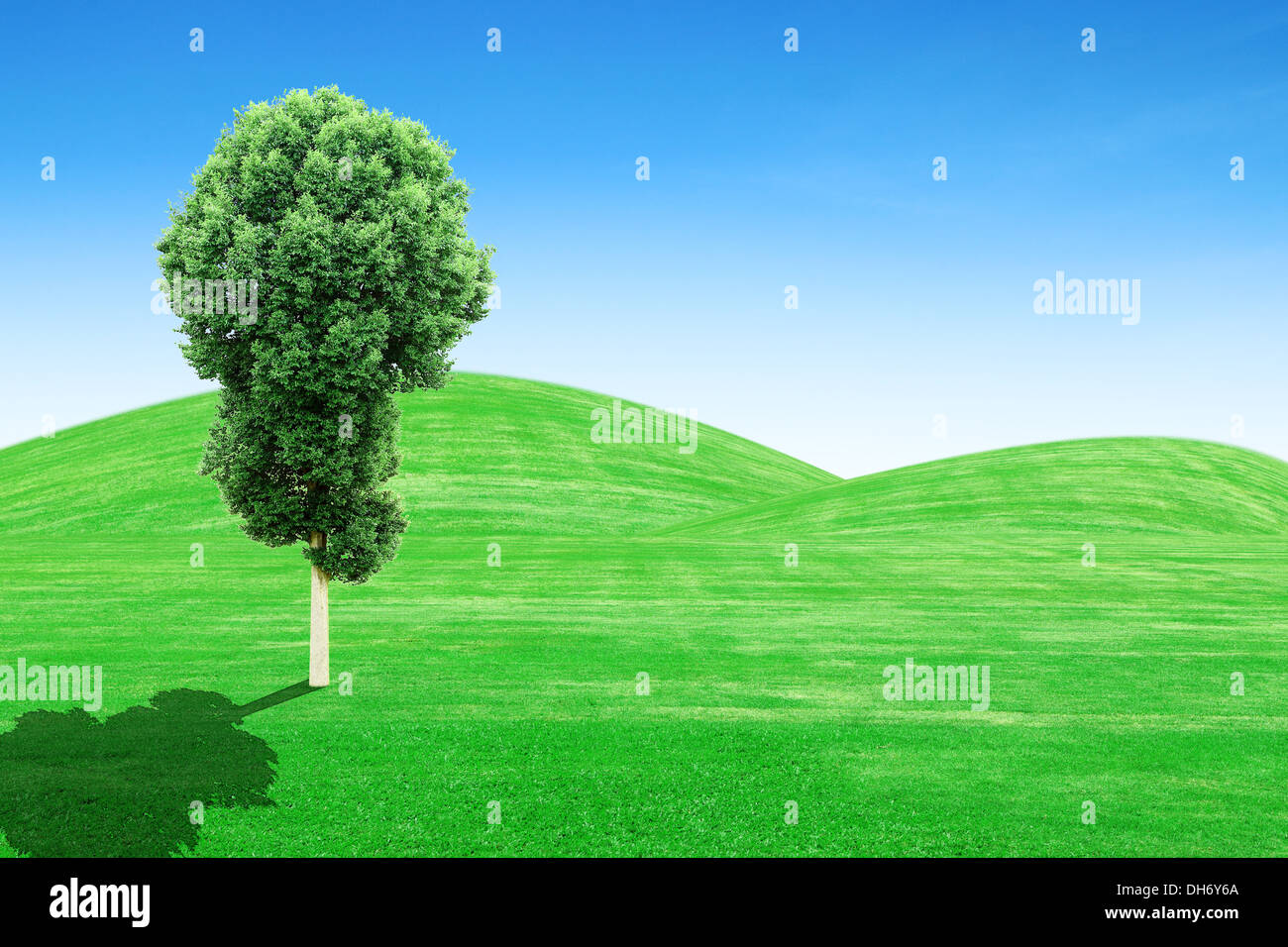 grüne Grasberge und Baum mit blauem Himmel Stockfoto