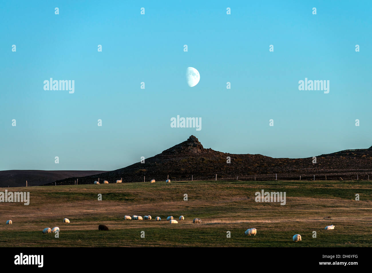 Halbmond auf Land Akureyri-Nord-Island-Europa Stockfoto