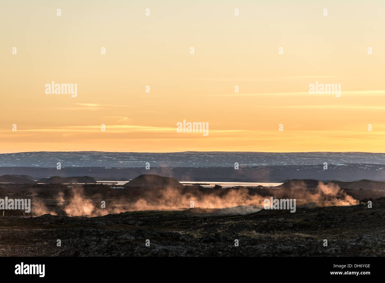 Mudpot oder Schlamm-Pool Nordisland Stockfoto