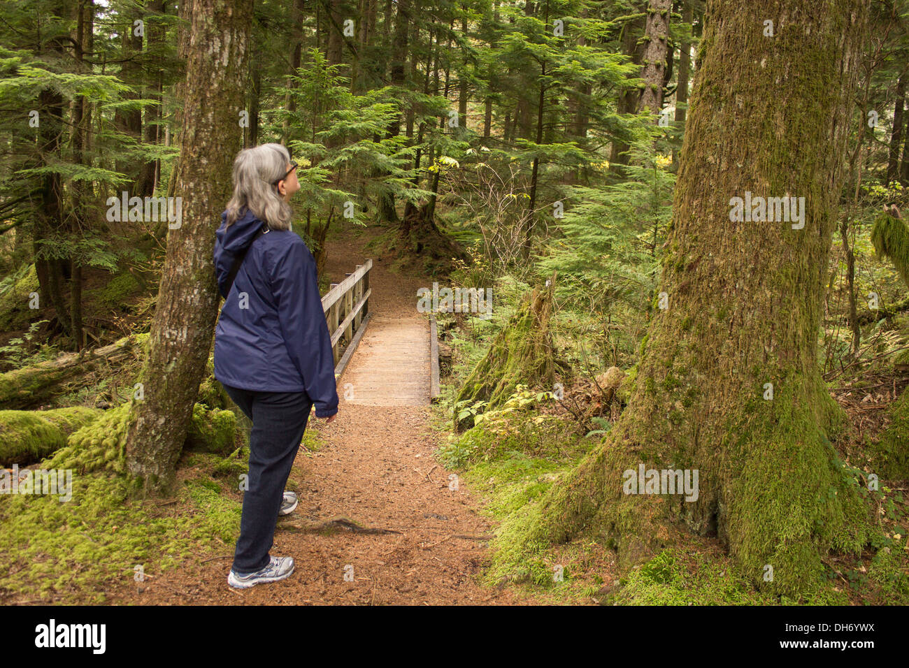 Wandern im wald -Fotos und -Bildmaterial in hoher Auflösung – Alamy