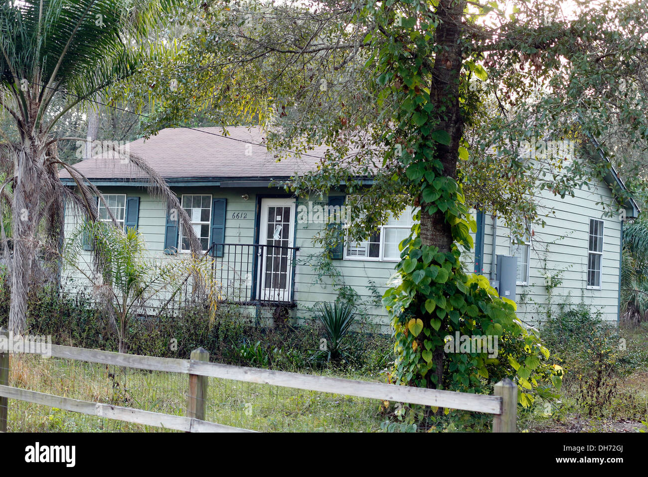 November 2013 - kleines heruntergekommenes Haus jetzt über einer Hinterwäldchen-Straße in Florida gewachsen, Stockfoto