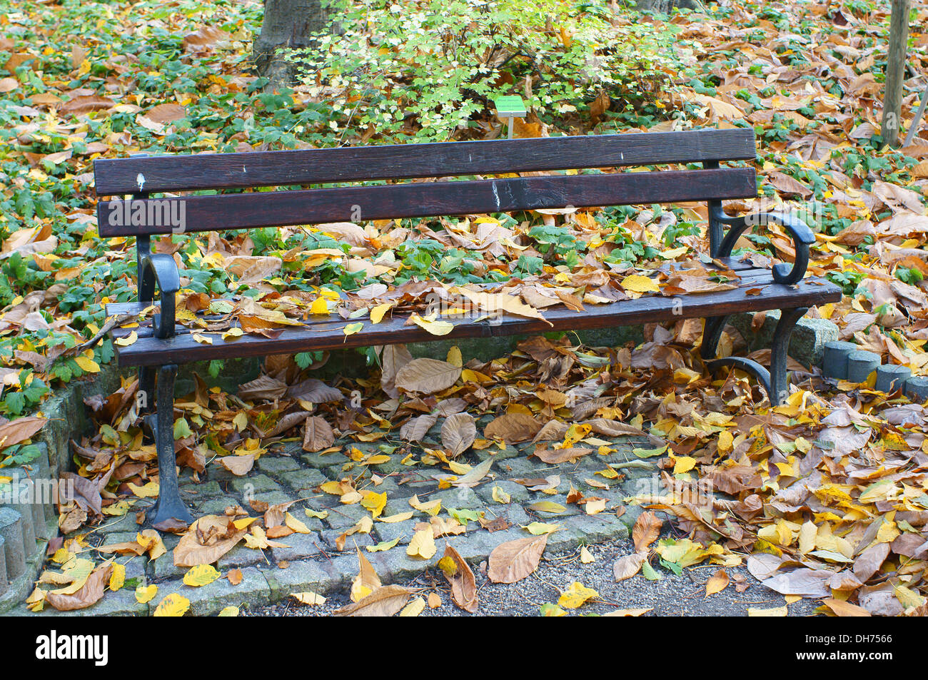 Einsamen Parkbank im gefallenen Herbst Blätter Stockfoto