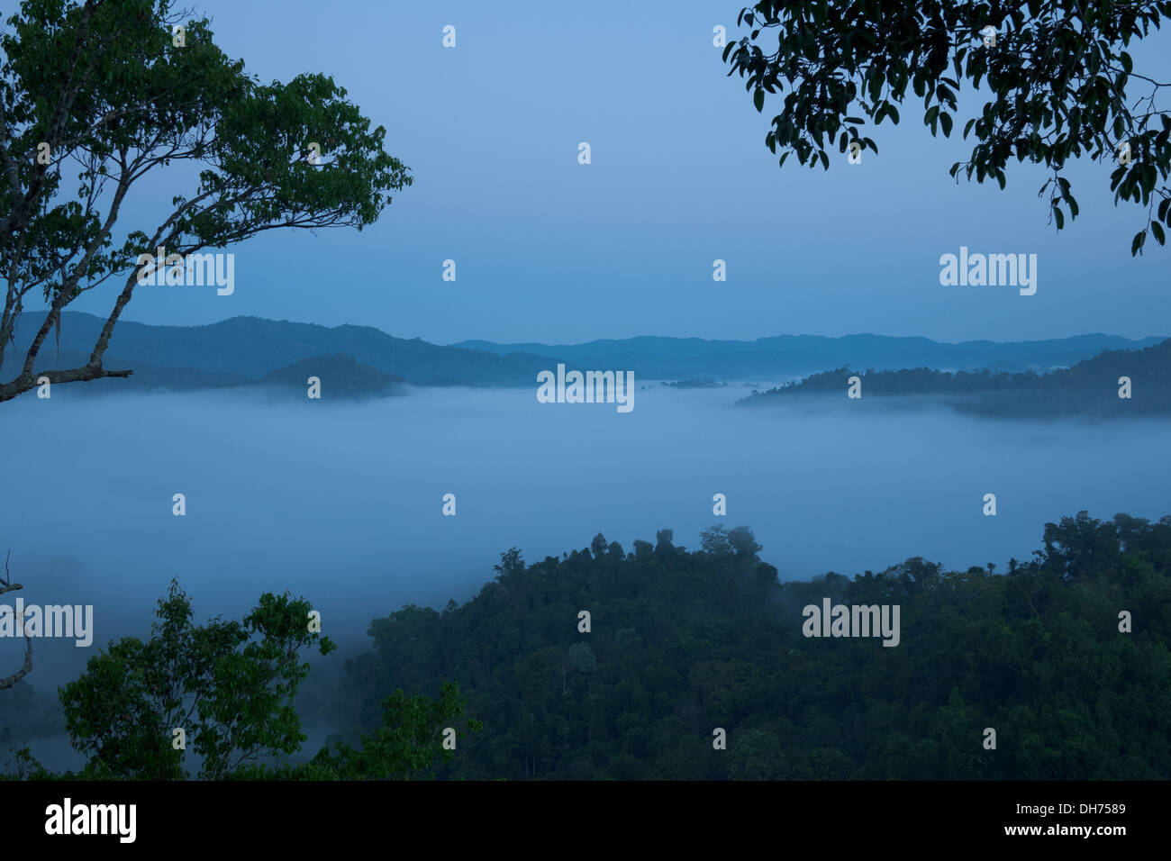 Die nebligen, nebligen Regenwald in Bokeo Naturschutzgebiet von einem Baumhaus in The Gibbon Experience in der Nähe von Huay Xai, Laos gesehen. Stockfoto